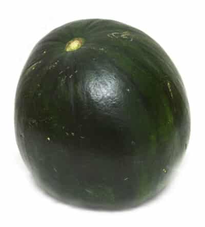 BELL WATERMELON main image 1