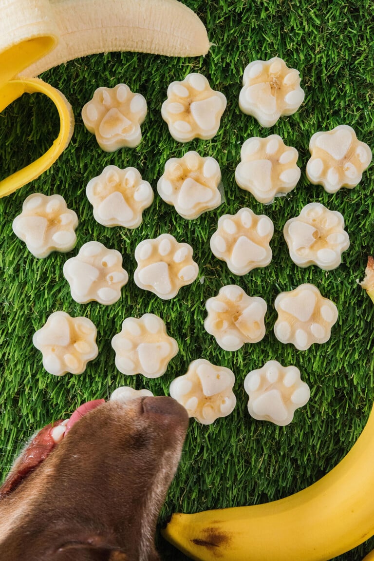Frozen Banana Dog Treats | Live Eat Learn