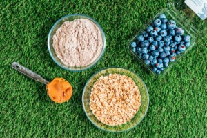 Ingredients to make blueberry dog treats on turf.