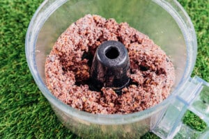 Mixing blueberry dog treats in a food processor.