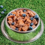 Blueberry dog treats in a dog bowl.