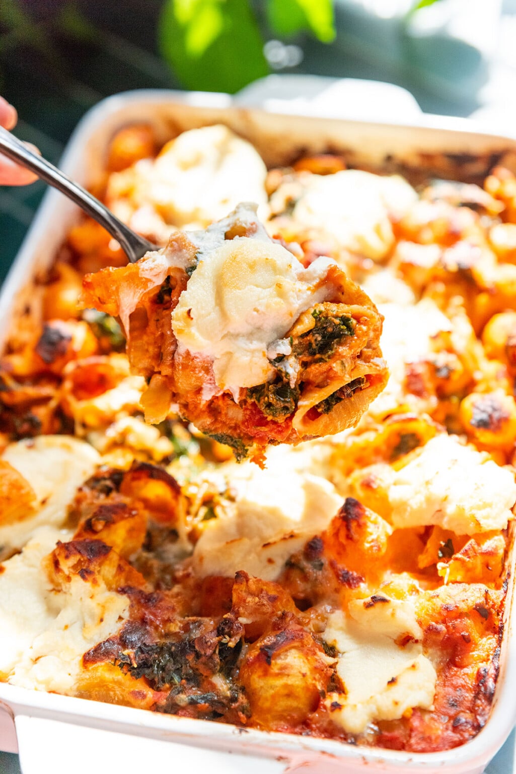 Pumpkin pasta bake live eat learn