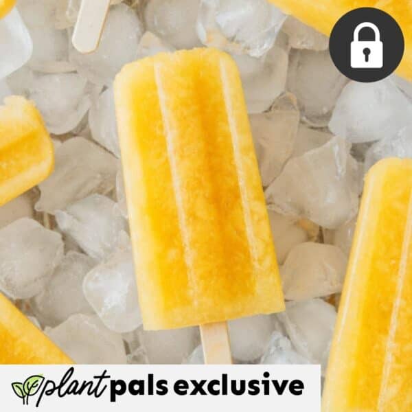 ACV pineapple popsicles on ice with a lock icon in the corner and plant pals exclusive text at the bottom.