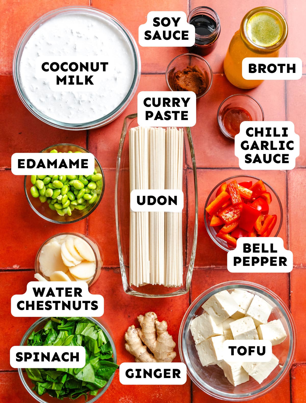 Top-down view of ingredients for a thai noodle casserole, featuring udon, tofu, spinach, edamame, bell pepper, water chestnuts, ginger, coconut milk, soy sauce, broth, curry paste, and chili garlic sauce.