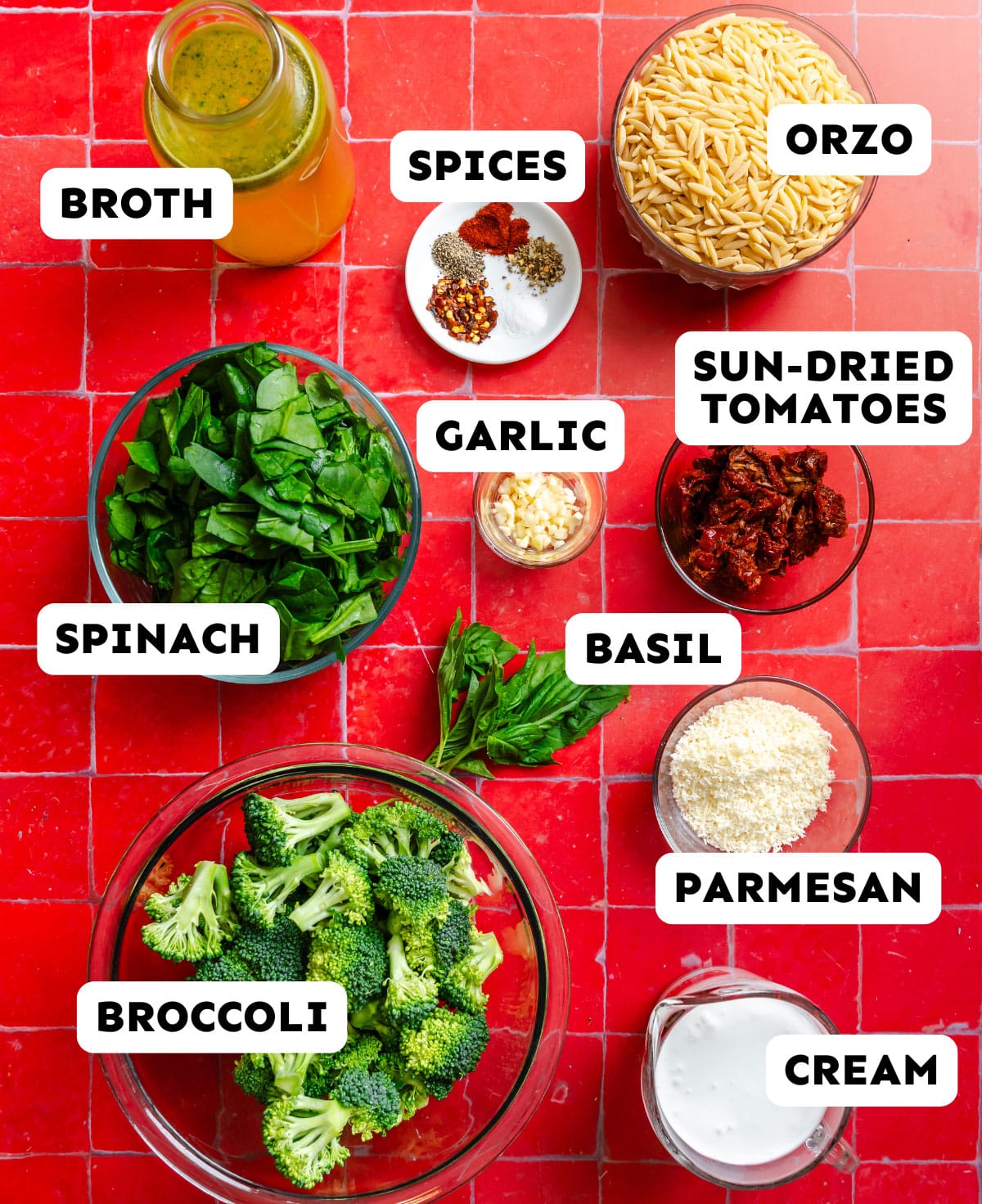 Overhead view of labeled ingredients on a red surface: broth, orzo, sun-dried tomatoes, Parmesan, cream, broccoli, spinach, basil, garlic, and spices.