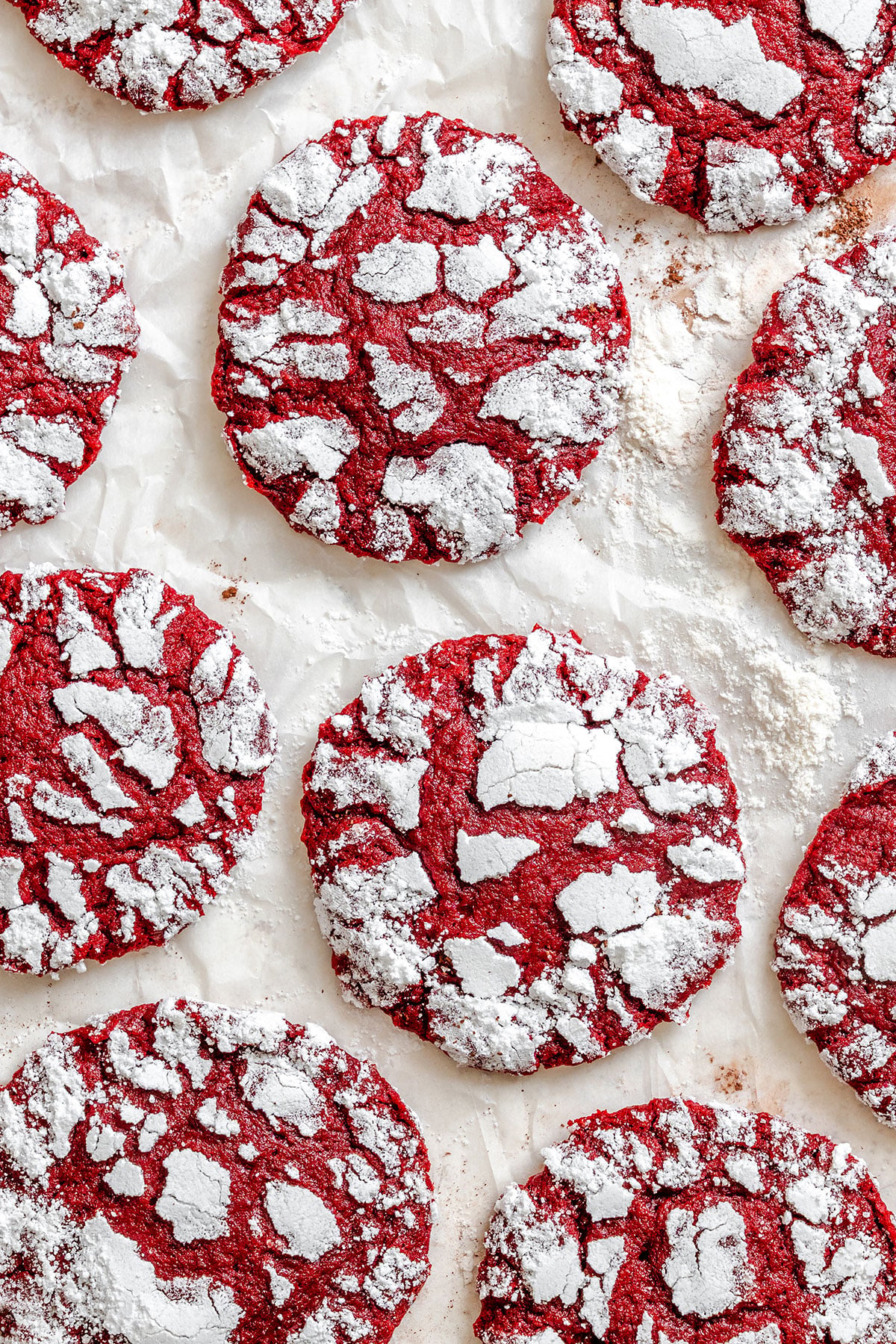 Red crinkle cookies with a cracked powdered sugar coating arranged on a sheet of parchment paper.