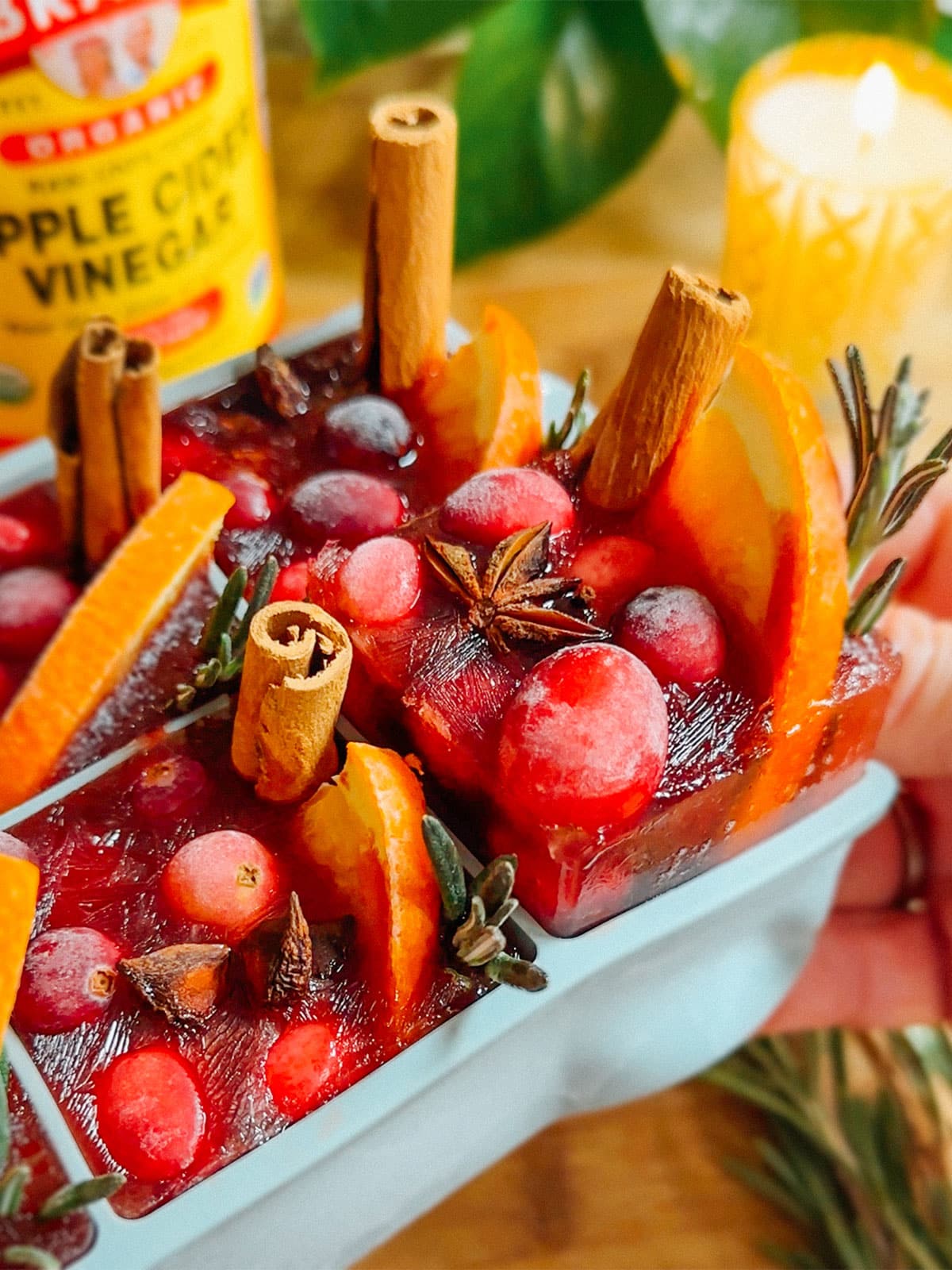 Ice cubes infused with cranberries, orange slices, cinnamon sticks, star anise, and herbs, arranged in a tray with a lit candle and apple cider vinegar bottle in the background.