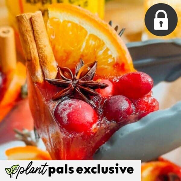A slice of festive dessert topped with orange, cranberries, cinnamon sticks, and star anise held by tongs—perfect for pairing with a holiday mocktail; “plant pals exclusive” label at the bottom.