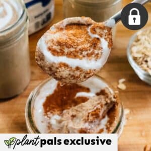 A spoonful of yogurt topped with cinnamon held above a jar, surrounded by jars and oats on a wooden surface. Plant pals exclusive and a lock icon are displayed. Perfect for pairing with ice cubes in your favorite holiday mocktail.