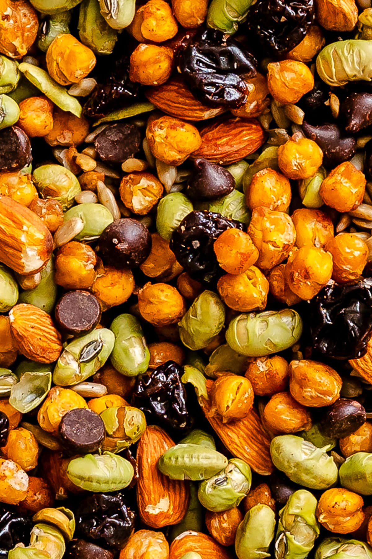 A close-up view of a snack mix containing roasted chickpeas, almonds, fava beans, chocolate chips, sunflower seeds, and dried fruit.