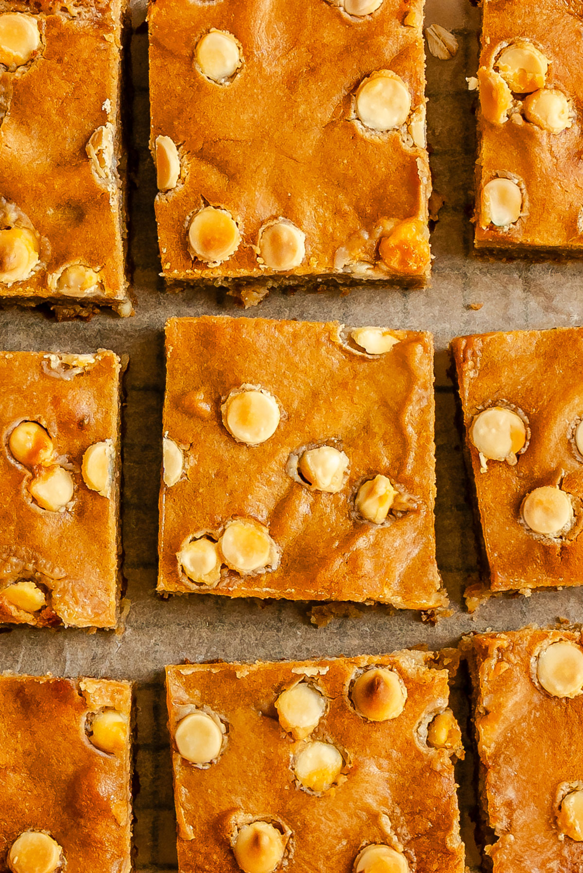 Nine square blondies with visible white chocolate chips are arranged on parchment paper in a grid pattern.