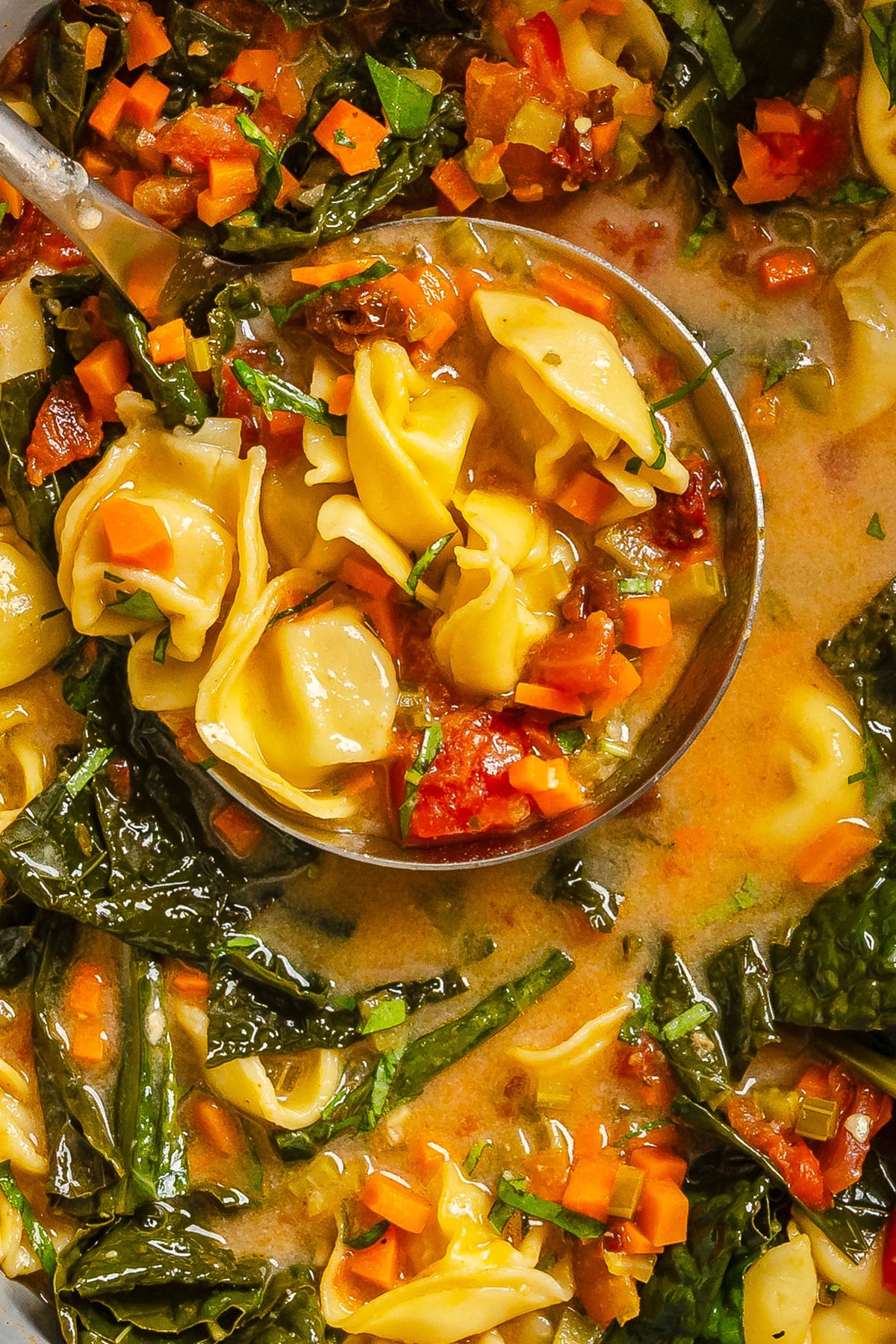 A ladle of tortellini soup with carrots, tomatoes, and leafy greens in a broth, garnished with herbs.