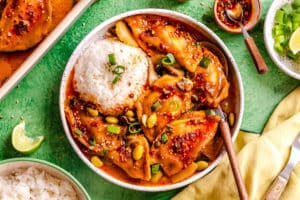 Bowl of rice and saucy dumplings garnished with green onions and sesame seeds, served with a spoon. Lime wedge and extra rice are on the side.