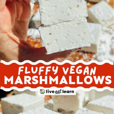 Hand holding a stack of four thick, white vegan marshmallows above a table covered with even more squishy marshmallows. Text reads Fluffy Vegan Marshmallows.
