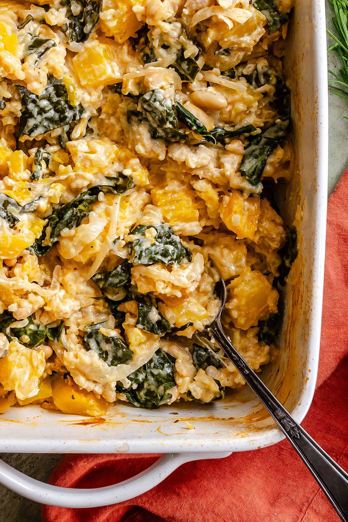 A close-up of a baked casserole with yellow squash, leafy greens, rice, and melted cheese in a white dish with a serving spoon.