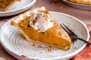 A slice of pumpkin pie topped with whipped cream and a sprinkle of cinnamon sits on a speckled plate with a fork beside it.