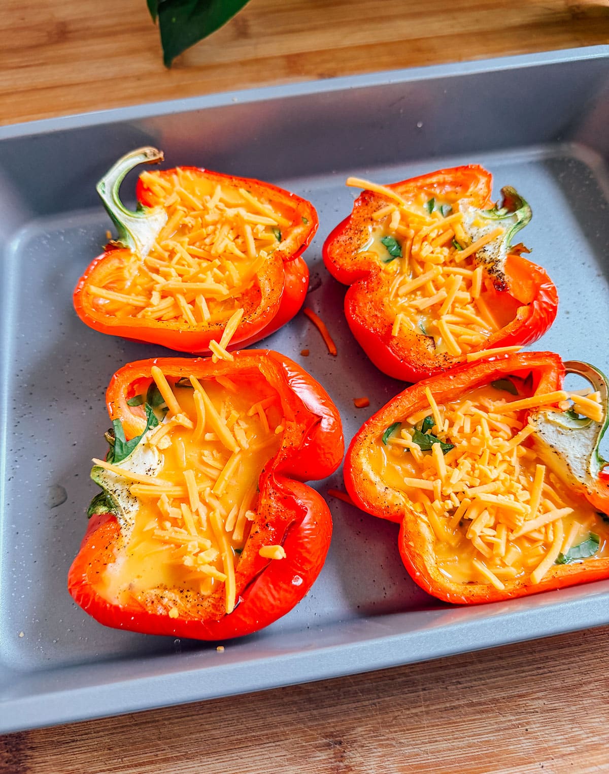 Four red bell pepper halves in a baking pan are topped with shredded cheese and herbs, ready to be baked.